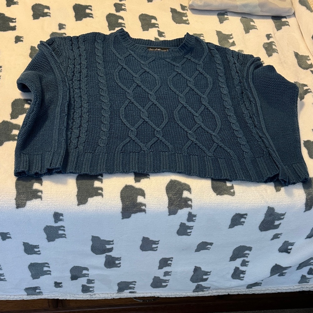 Derek heart Women's Blue Cable cropped Knit Sweater